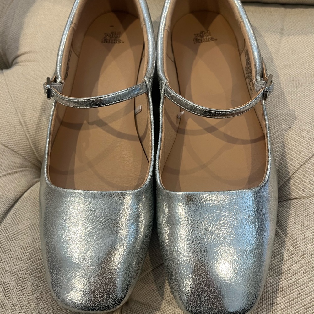 Wild Fable ballet flats